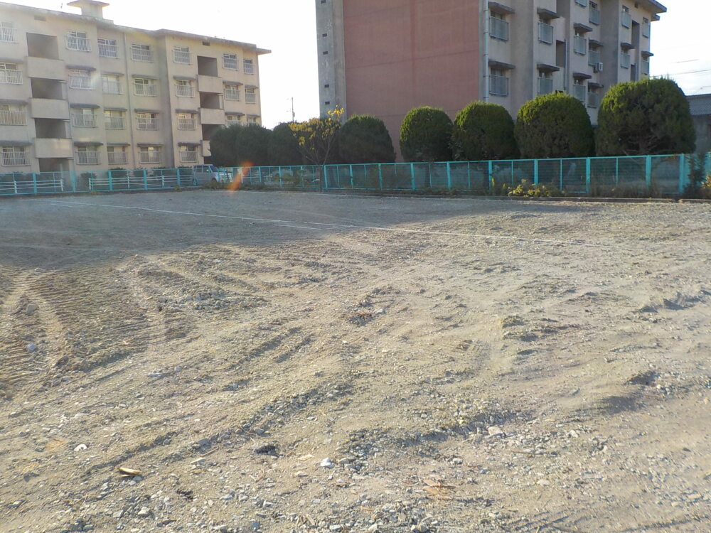 地縄張り