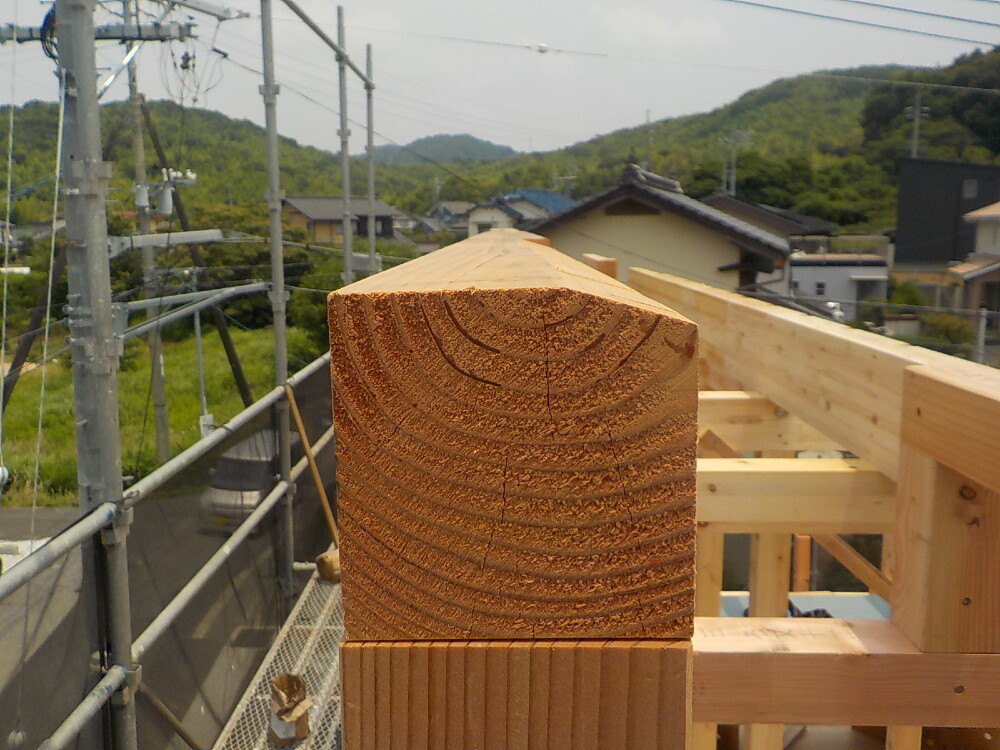 上棟