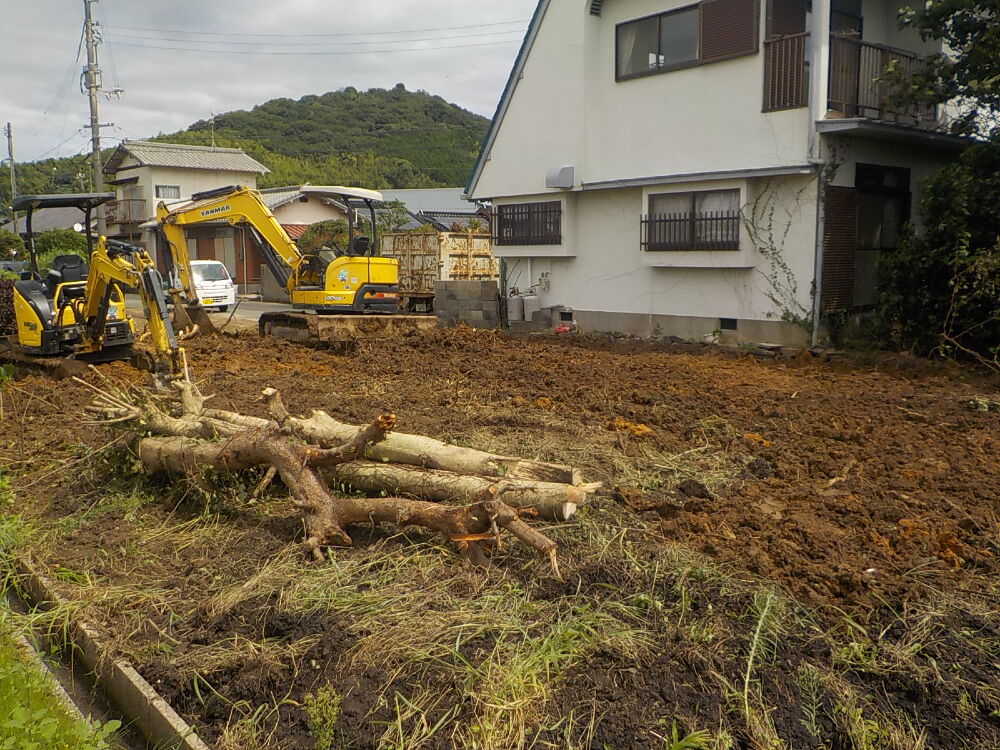 伐採･解体工事