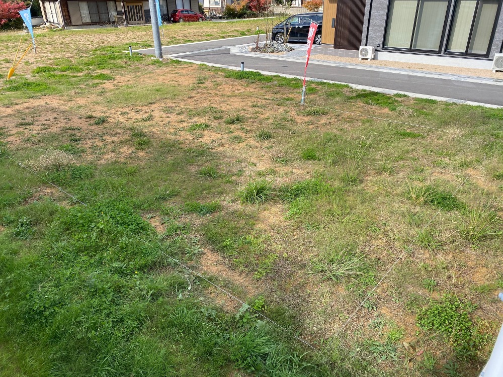 地縄