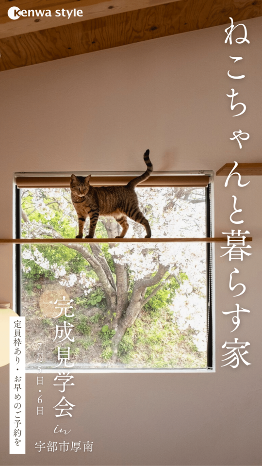 「ねこちゃんと暮らす家」誕生。