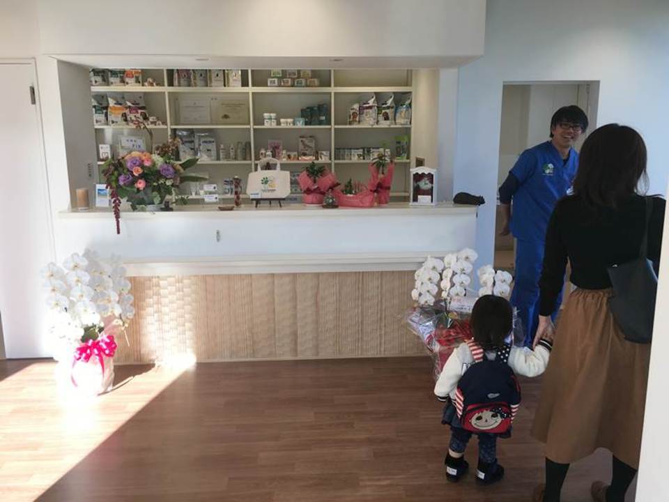 完成後のお披露目、内覧会